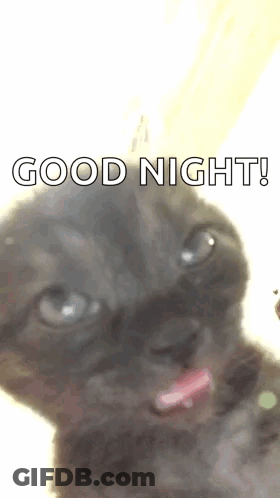 A Black Cat With Its Tongue Out And The Words `` Good Night '' Written On It . GIF