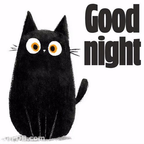 A Black Cat With Orange Eyes And The Words Good Night GIF