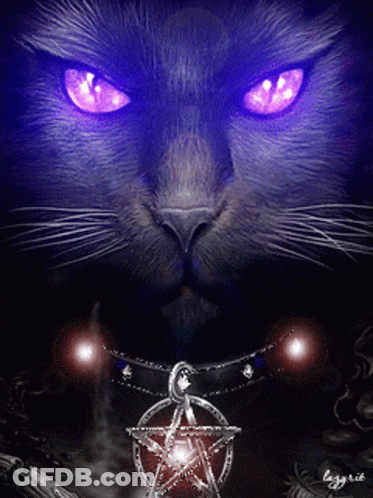 A Black Cat With Purple Eyes Is Holding A Pentagram Necklace GIF