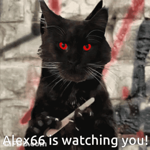 A Black Cat With Red Eyes Is Holding A Knife In Its Paw And Alex66 Is Watching You GIF