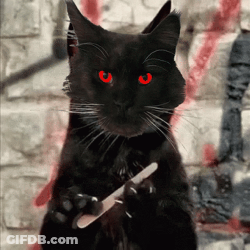 A Black Cat With Red Eyes Is Holding A Nail File In Its Paws GIF