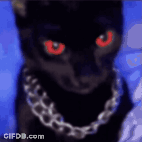 A Black Cat With Red Eyes Is Wearing A Chain Around Its Neck GIF