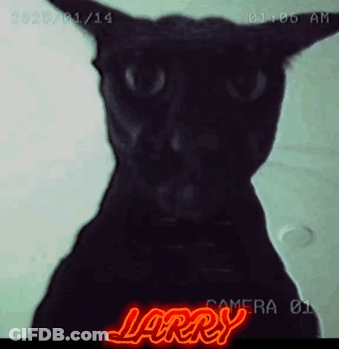 A Black Cat With The Name Larry Written In Red GIF