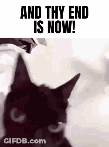 A Black Cat With The Words `` And Thy End Is Now '' Written Above It . GIF
