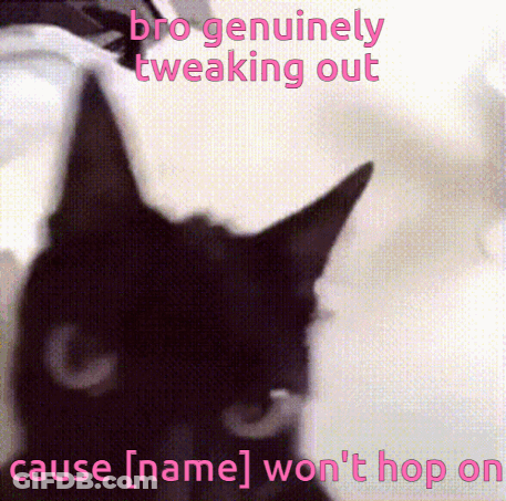A Black Cat With The Words " Bro Genuinely Tweaking Out Cause [ Name ] Won 'T Hop On " On The Bottom GIF