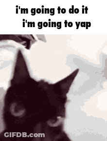 A Black Cat With The Words I 'M Going To Do It I 'M Going To Yap Written Above It GIF