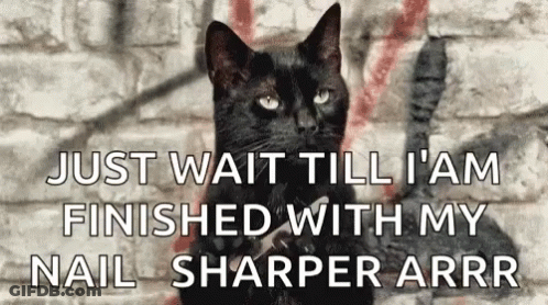 A Black Cat With The Words Just Wait Till I Am Finished With My Nail Sharper Arrr On The Bottom GIF