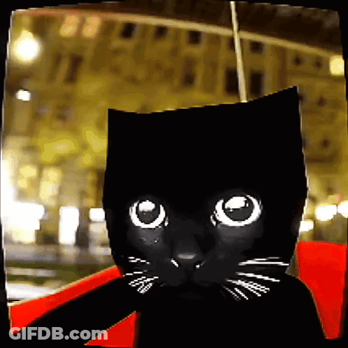 A Black Cat With White Whiskers And Big Eyes GIF