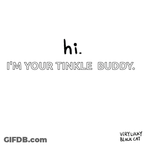 A Black Cat With Yellow Eyes And The Words Hi I 'M Your Tinkle Buddy GIF