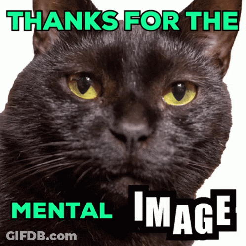 A Black Cat With Yellow Eyes And The Words Thanks For The Mental Image GIF