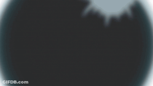 A Black Circle With A Shadow Of A Tree On It . GIF