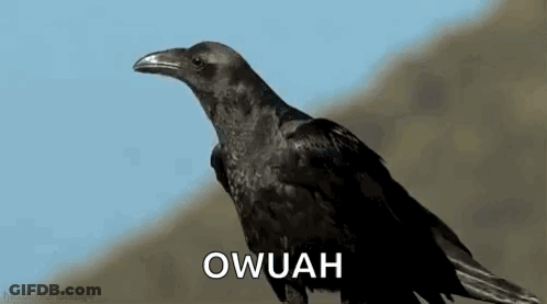 A Black Crow Is Sitting On Top Of A Hill With The Word Owuah Written On The Bottom . GIF