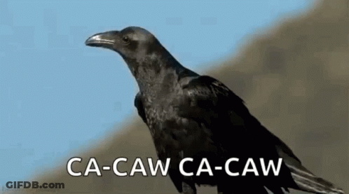 A Black Crow Is Sitting On Top Of A Hill With The Words `` Ca-Caw Ca-Caw '' Written On It . GIF