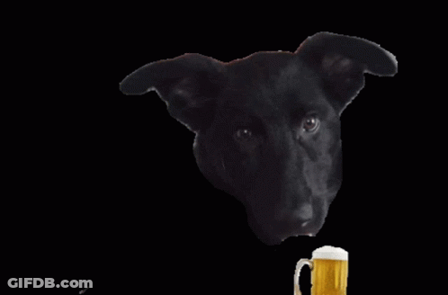 A Black Dog Drinking From A Mug With Its Tongue Out GIF