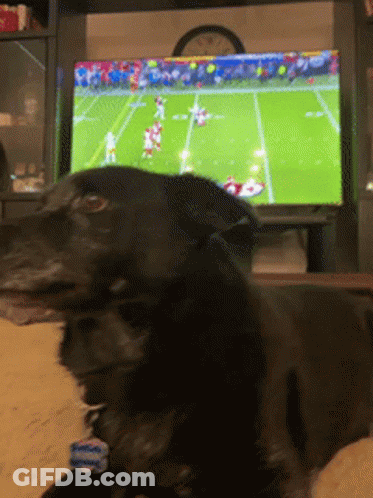 A Black Dog Is Laying On The Floor In Front Of A Television Watching A Football Game GIF