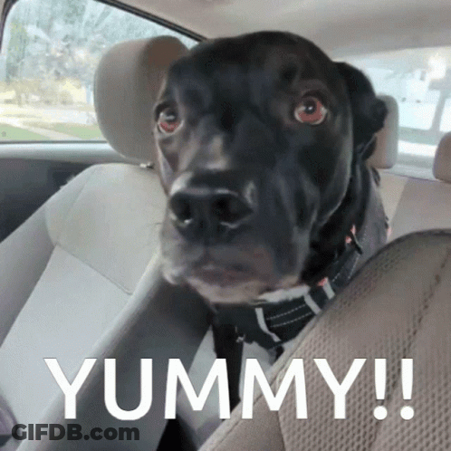 A Black Dog Is Sitting In The Back Seat Of A Car With The Word Yummy Written On The Bottom GIF