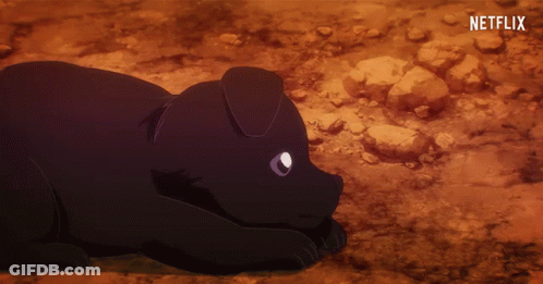 A Black Dog Laying On The Ground With A Netflix Logo In The Corner GIF
