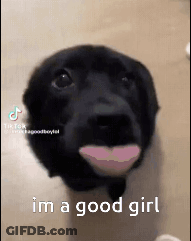 A Black Dog With A Pink Lip And The Words I 'M A Good Girl Below It GIF