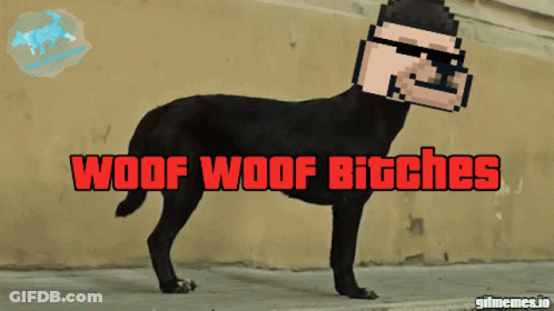 A Black Dog With A Pixelated Man 'S Head And The Words Woof Woof Bitches On The Bottom GIF