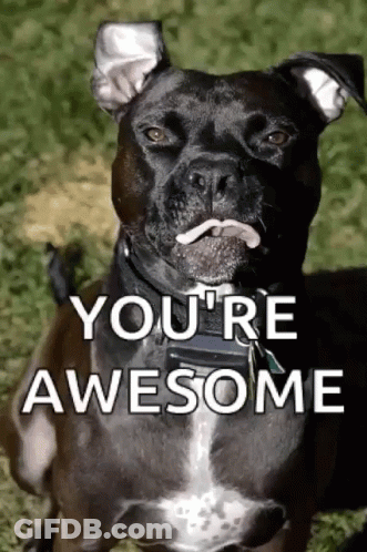 A Black Dog With A Tongue Sticking Out And The Words " You 'Re Awesome " Behind It GIF