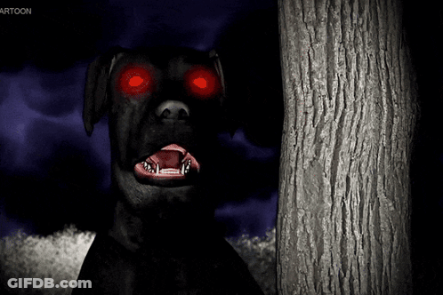 A Black Dog With Red Eyes Stands Next To A Tree GIF