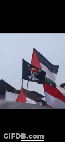 A Black Flag With A Skull And Crossbones On It GIF