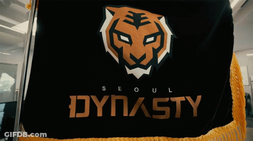 A Black Flag With A Tiger Head And The Word Dynasty On It GIF