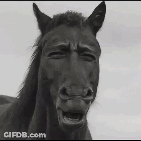 A Black Horse With Its Eyes Closed And Its Mouth Open GIF