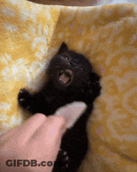 A Black Kitten Is Laying On A Yellow Blanket With Its Mouth Open GIF