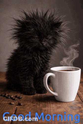 A Black Kitten Sits Next To A Cup Of Coffee With The Words " Good Morning " Written Below It GIF