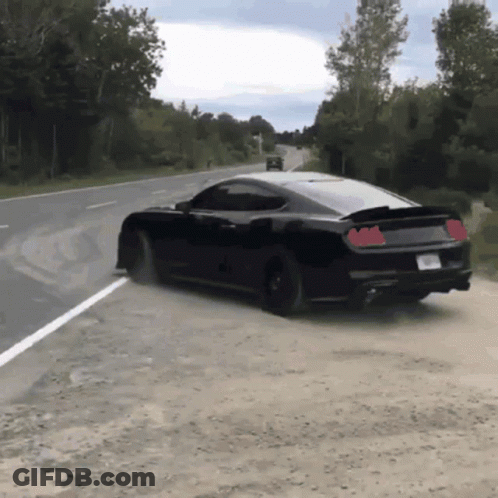 A Black Mustang Is Driving Down A Road GIF