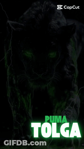 A Black Panther With Green Eyes And The Name Tolga GIF