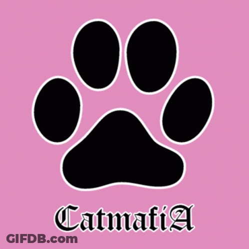 A Black Paw Print On A Pink Background With The Name Catmafia Below It GIF