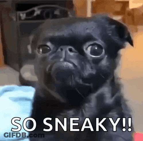 A Black Pug Dog With The Words So Sneaky Written On The Bottom GIF