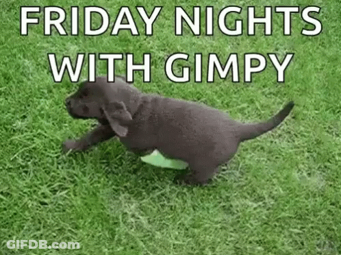A Black Puppy Is Running On A Lush Green Field . GIF