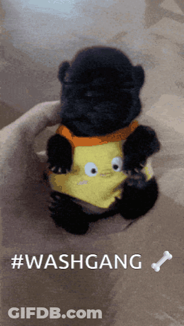 A Black Puppy Wearing A Yellow Shirt With Googly Eyes Is Being Held In Someone 'S Hand With The Hashtag #Washgang GIF