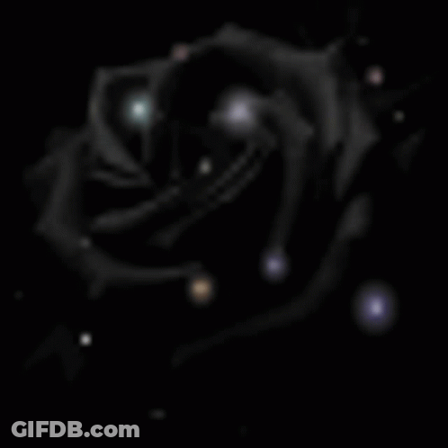 A Black Rose Is Surrounded By Glowing Lights In The Dark GIF