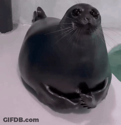 A Black Seal Is Laying On A White Surface GIF