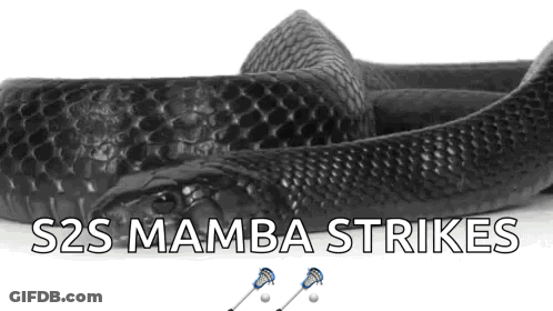 A Black Snake With The Words S2s Mamba Strikes Written Below It GIF