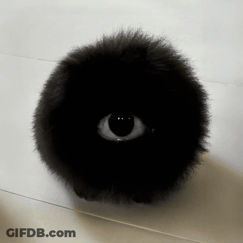 A Black Stuffed Animal With An Eye In The Center GIF