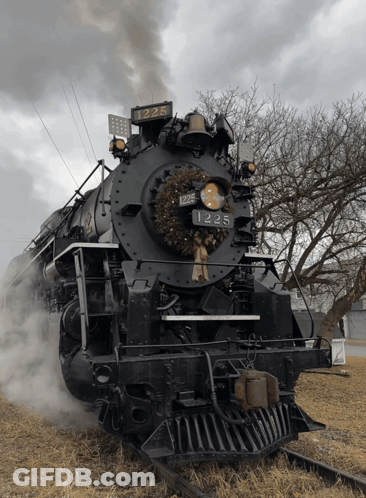 A Black Train With The Number 1225 On The Front GIF