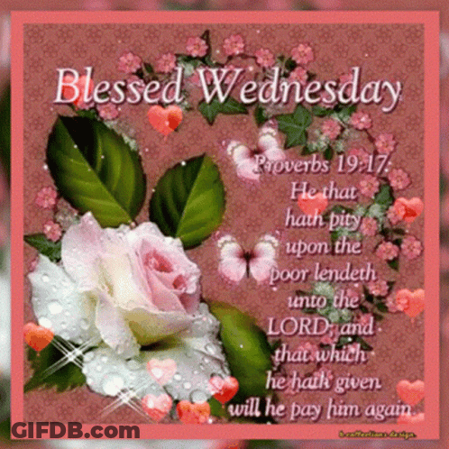 A Blessed Wednesday Card With Flowers And Butterflies On A Pink Background GIF