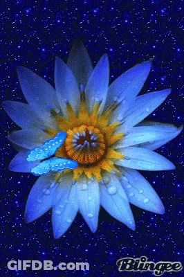 A Blingee Image Of A Blue Flower With Water Drops GIF
