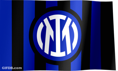 A Blue And Black Striped Flag With A White Circle With The Letter N In The Center GIF