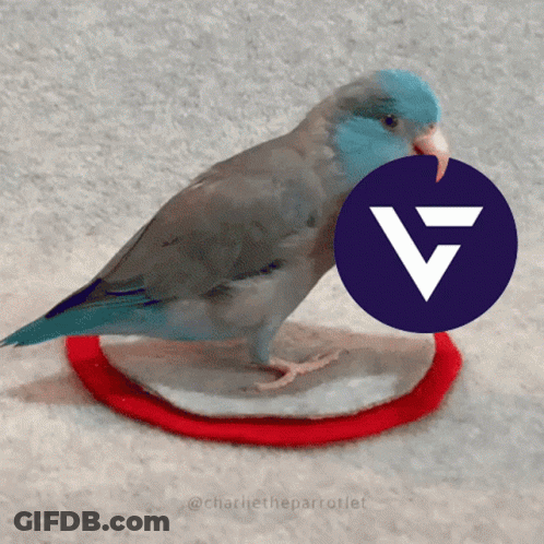 A Blue And Gray Bird Is Standing On A Red Circle With A Blue Circle With A White Triangle In It GIF
