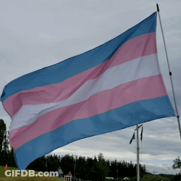 A Blue And Pink Striped Flag Flies In The Wind GIF