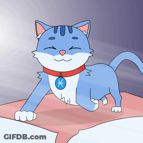 A Blue And White Cat With A Red Collar And A Blue Tag That Says X On It GIF