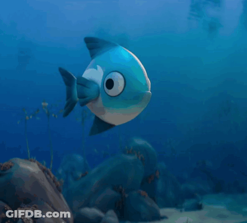 A Blue And White Fish Swimming In The Ocean GIF