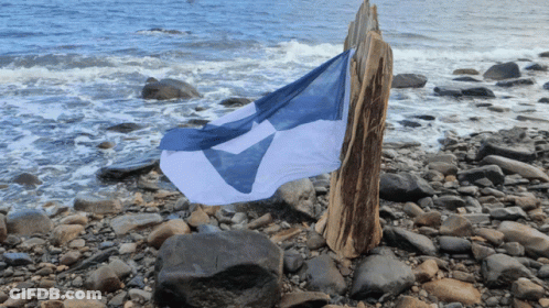 A Blue And White Flag On A Rocky Beach Near The Ocean GIF