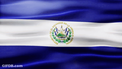 A Blue And White Flag That Says Salvador En La America GIF